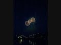 feuerwerk-wadj-2008-firework-wadj-2008.html