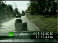 Escaped chimpanzee attacks police car, smashes windscreen