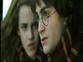 Harry Potter Why Not Harry Potter Why Not