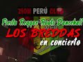 los breddas  zion peru cub