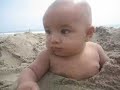 Abby en la playa