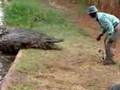 Crazy man feeding crocodiles - cool!