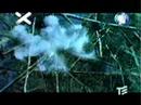 splin-ostayomsa-zimovat-2001.html