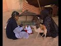 Western Sahara Real Intifada - Peace and freedom since 1975 Western Sahara Real Intifada - Peace and freedom since 1975