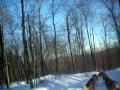 2009-05-27 | Downhill dogsledding! Quebec, Canada ~> This was my job :) (3:12)