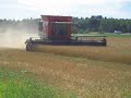 AGCO tröskdemo Ultuna MF 9895 AGCO tröskdemo Ultuna MF 9895