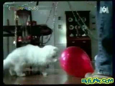 お悩みにゃんこYoutube(ゆーちゅーぶ)・Dailymotion動画