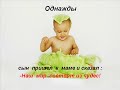 Жизнь
