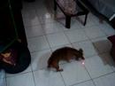 Chuby 02
