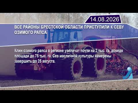 Новостная лента Телеканала Интекс 14.08.26.