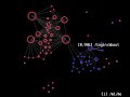 glTrail - Website usage visualization