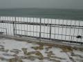 videos de Nevicata a Savona 7 Gennaio 2009