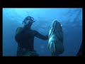 pesca submarina en el estrecho vol3  trailer 