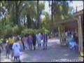 Cedar Point 1996