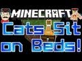 Minecraft CUTE CATS ! Ocelots Sit on Your Bed in 1.2.4 !