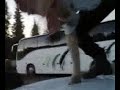 sohvasakin sekoilua