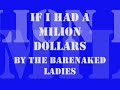 Barenaked ladies - if i had a million dollars live