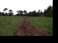 la voiture officiel des cochons d\