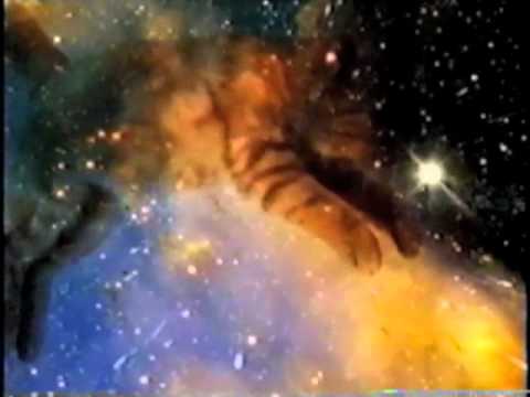 Keelay - Theme from Cash Cats