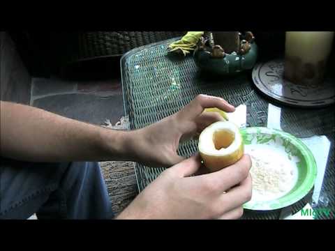 how to harvest seeds from a cucumber