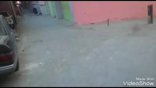 مخيم البداوي