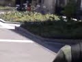 voici une excursion en milieu urbain, milieu ou vie et procr�e l'esp�ce si redout� de tous : le vieu. ici nous avons eu la chance d'observ� jean-raoul gilberto, digne successeur de la dynastie des gilbert de  p�ron-sur-plateau...une esp�ce coriace qui vit habituellement renferm� � l'�cart du monde dans un bar ou devant jean-luc reichmann le midi sur tf1