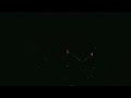 Nine Inch Nails - The Great Destroyer - Live in St Louis 8.20.08
