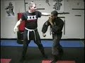 Ninjutsu: Defense from Shizen No kamae(natural posture) Ninjutsu: Defense from Shizen No kamae(natural posture)