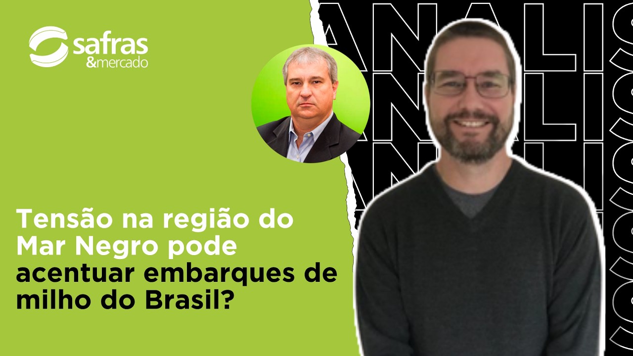 Exportação de milho do Brasil pode decolar com maior tensão na região do Mar Negro?