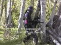 Gung Ho Guns Paintball