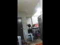 Video Vidio xxx Video Vidio xxx