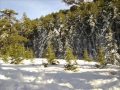 Slideslow. Enjoy ;)
