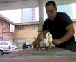 ARTE12 Catapulta Trebuchet-Couillard 2 Funcionamiento