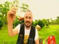 Madventures: MAD COOK