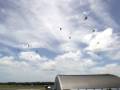3 Sqn 19 ship Flypast over RNZAF Base Ohakea. 14 Iroquois and 5 Sioux helicopters