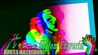 蜂鳥あみ太＝4号とショルヘーノ - シャローム Shalom Chaverim