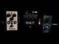 Hao Rust Driver, ProCo Rat and OCD