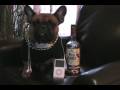 HornDog Episode 1