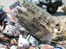 Rolling Thunder 2007