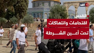 اقتحام القدس واعتداءات تحت أعين الشرطة.. البديري يرصد انتهاكات المستوطنين داخل القدس اقتحام القدس واعتداءات تحت أعين الشرطة.. البديري يرصد انتهاكات المستوطنين داخل القدس