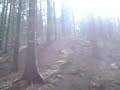 Wildnis des Sauerlandes