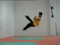 tae kwan do