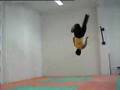 tae kwan do