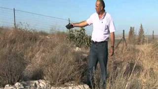 قهوتنا 7.10.2010: عن بلدي حكيلي...قرية قوميه المهجرة