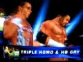 WWE SMACKDOWN VS RAW 2007 Triple H & HBK