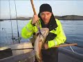 Havsfiske på Hitra dag 1 och 2 Havsfiske på Hitra dag 1 och 2