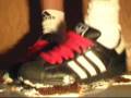 videos de adidas vs cake