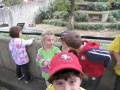 videos de National Zoo