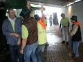 la peña los rebeldes, bailan en el kiosko chachondo de borde, fiestas del rosario 2008, huertas de animas