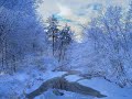 Rainbow - Snowman